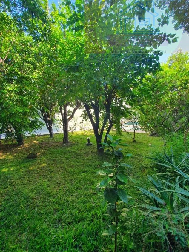 Casa, 4 quartos, 520 m² - Foto 5