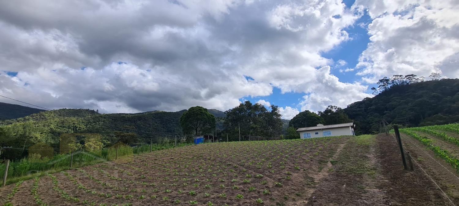 Sítio, 2 quartos, 2550 m² - Foto 10