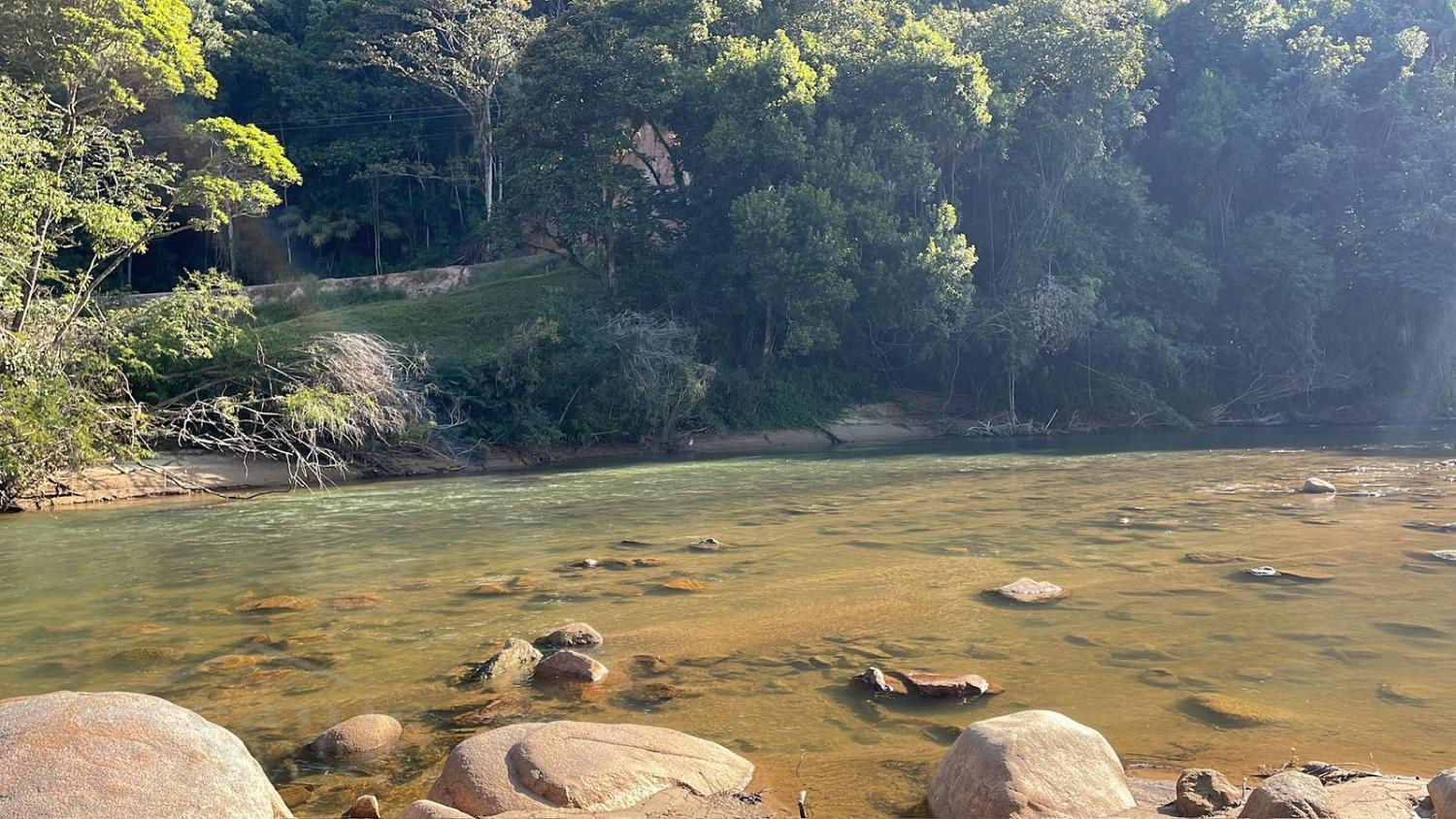 Sítio, 2 quartos, 2550 m² - Foto 12