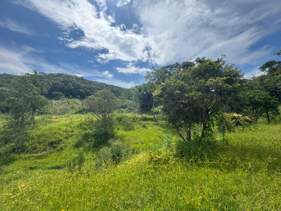 Fazenda, 15 hectares - Foto 2