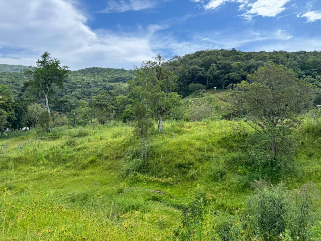 Fazenda, 15 hectares - Foto 3