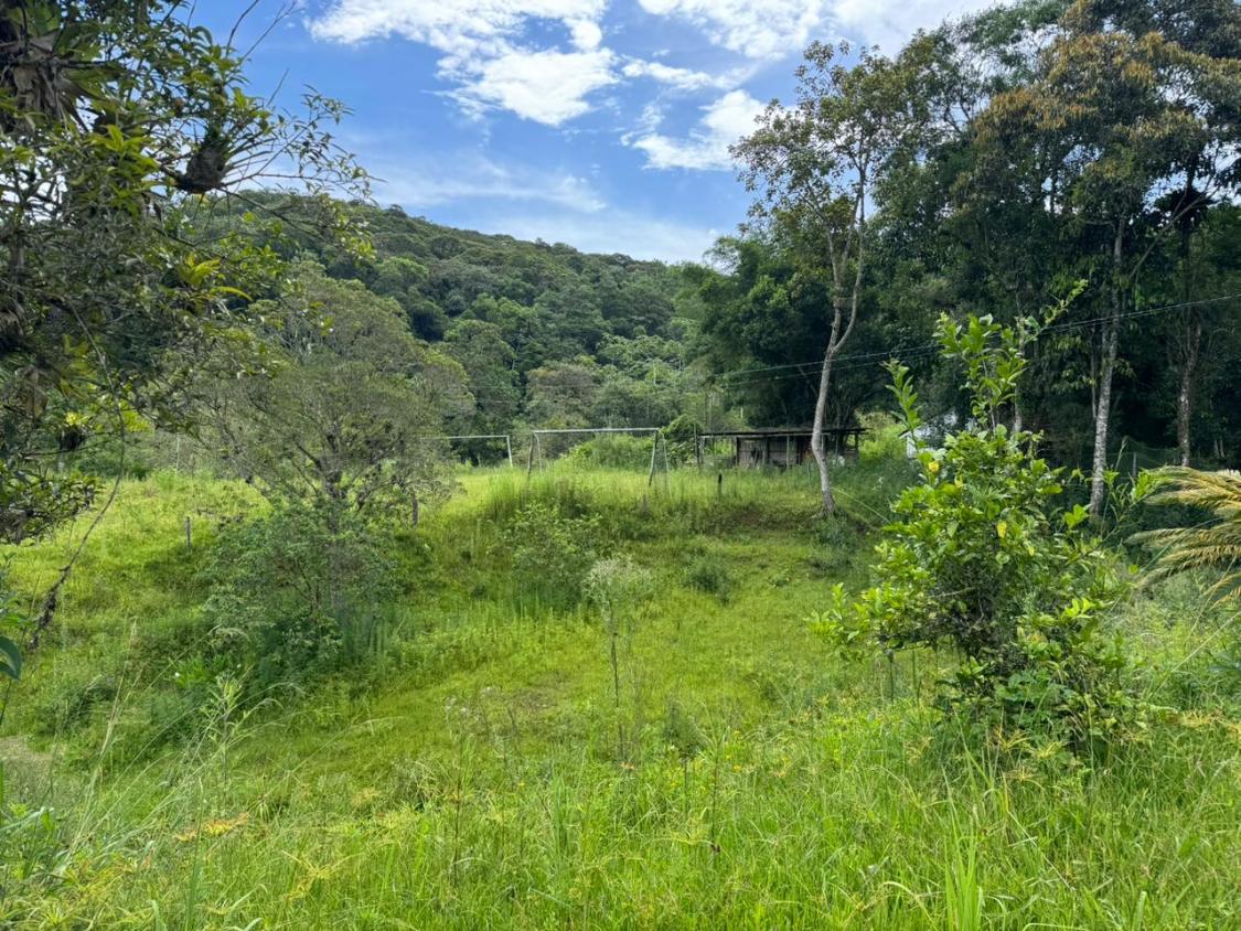 Fazenda, 15 hectares - Foto 7