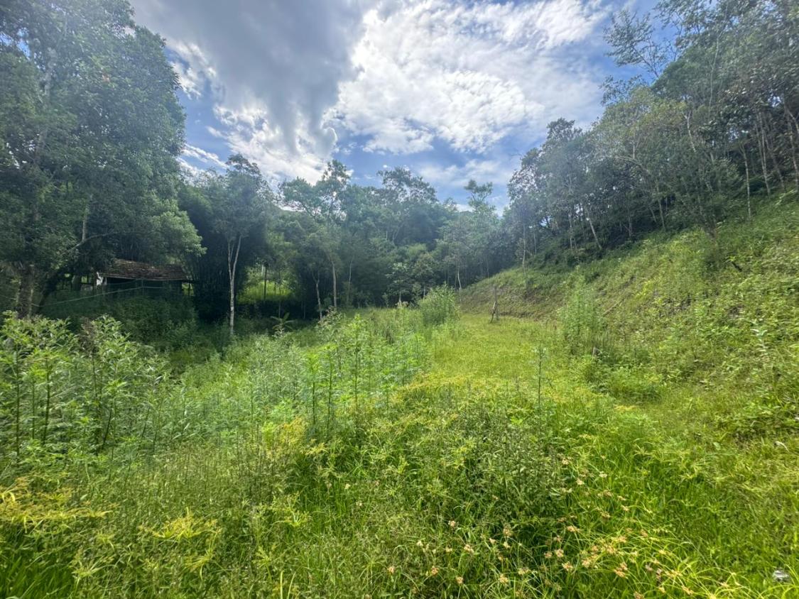 Fazenda, 15 hectares - Foto 17