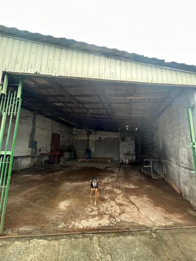 Depósito-Galpão - Foto 3