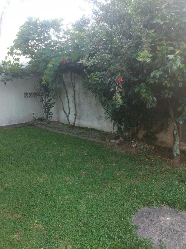 Prédio Inteiro - Foto 25