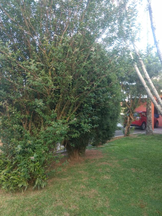 Prédio Inteiro - Foto 26