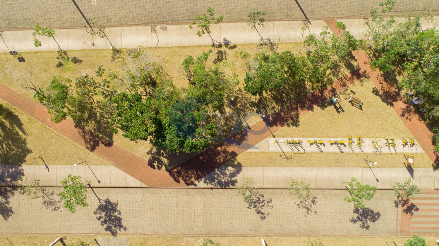 Terreno, 300 m² - Foto 6