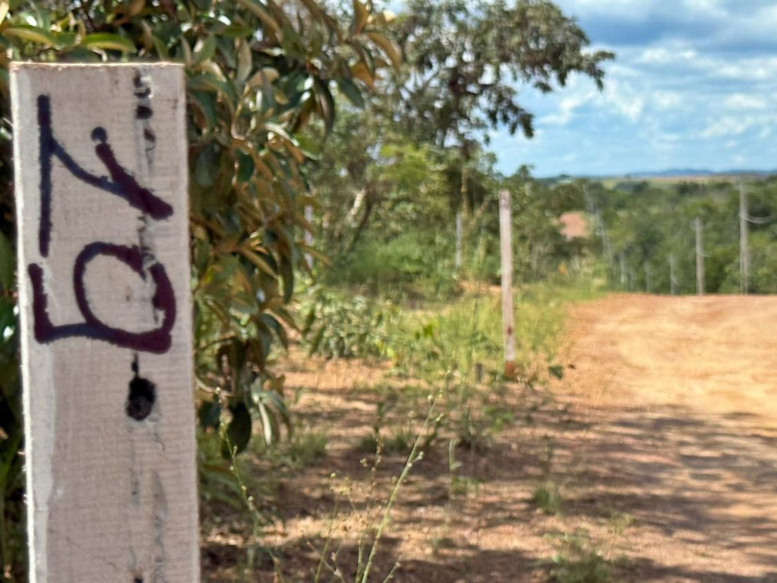 Sítio, 1000 m² - Foto 1