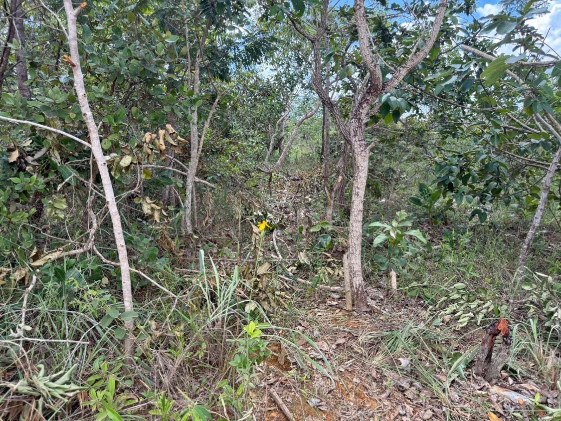 Chácara, 1000 m² - Foto 13