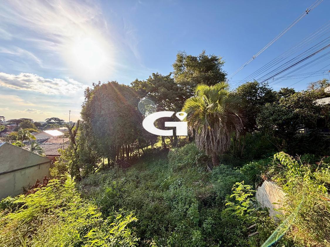 Terreno, 720 m² - Foto 13