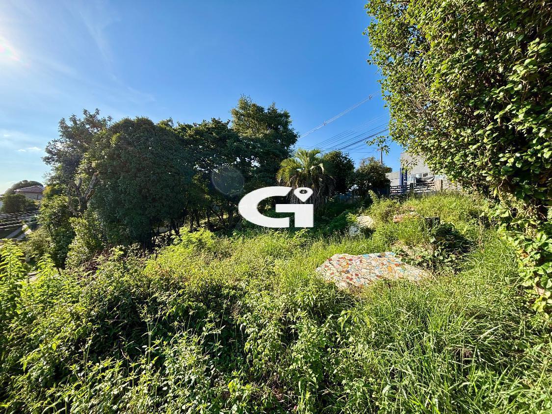 Terreno, 720 m² - Foto 16