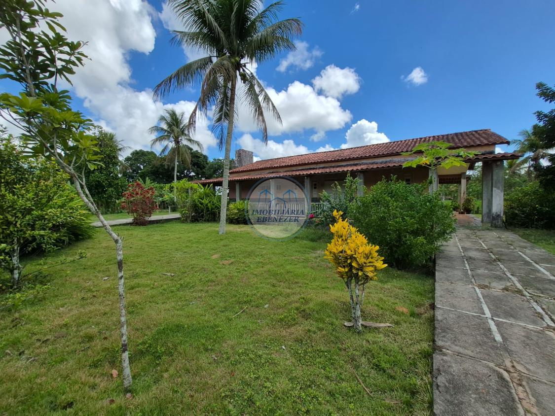 Fazenda, 12 hectares - Foto 1