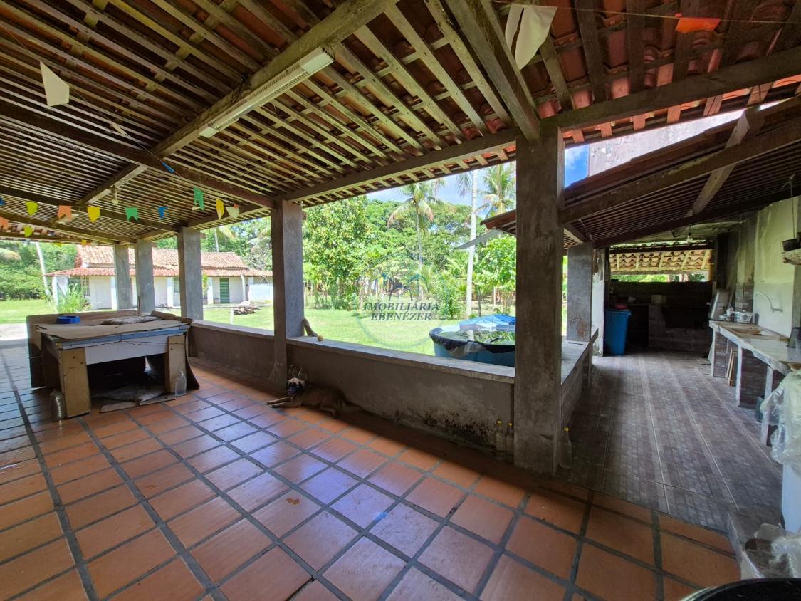 Fazenda, 12 hectares - Foto 4