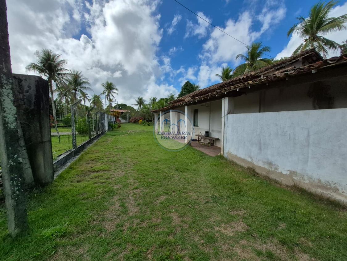 Fazenda, 12 hectares - Foto 16