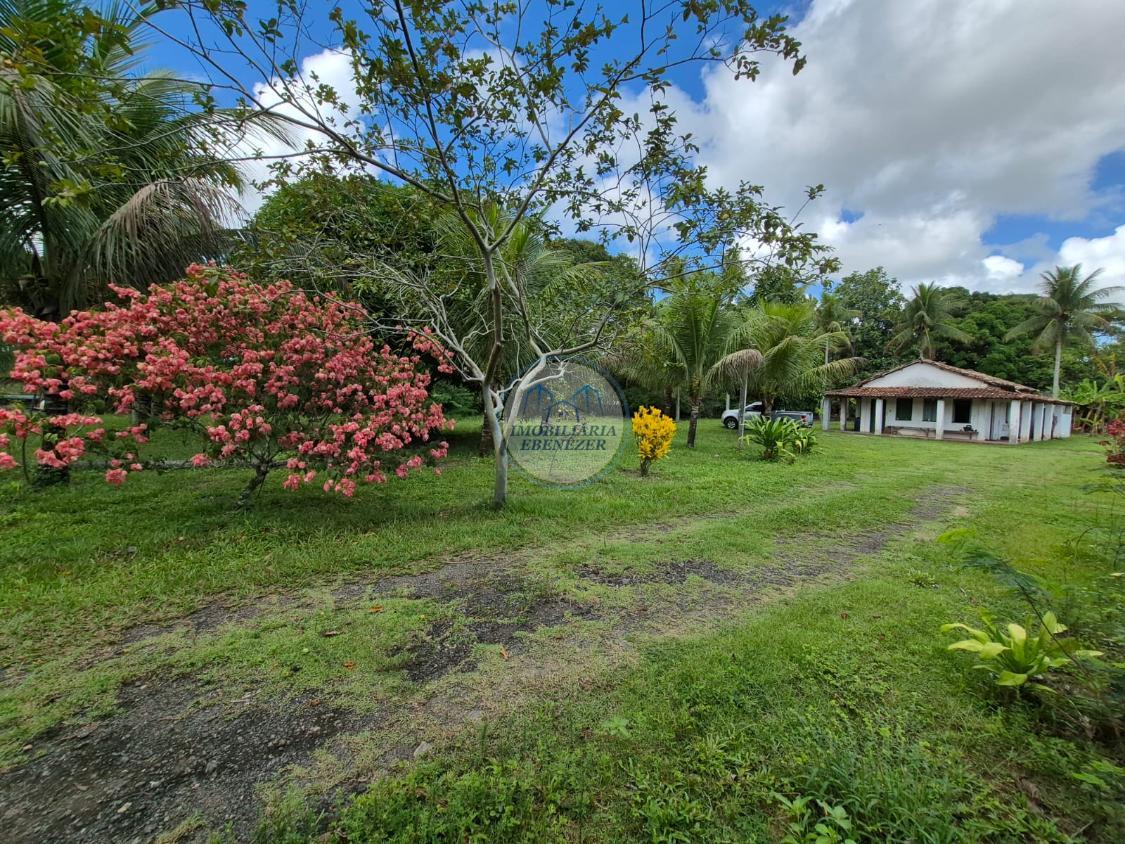 Fazenda, 12 hectares - Foto 17