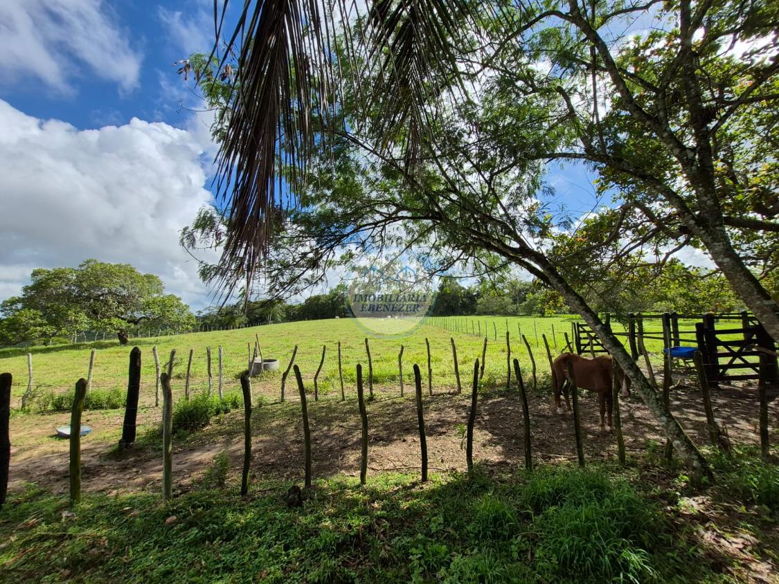 Fazenda, 12 hectares - Foto 27