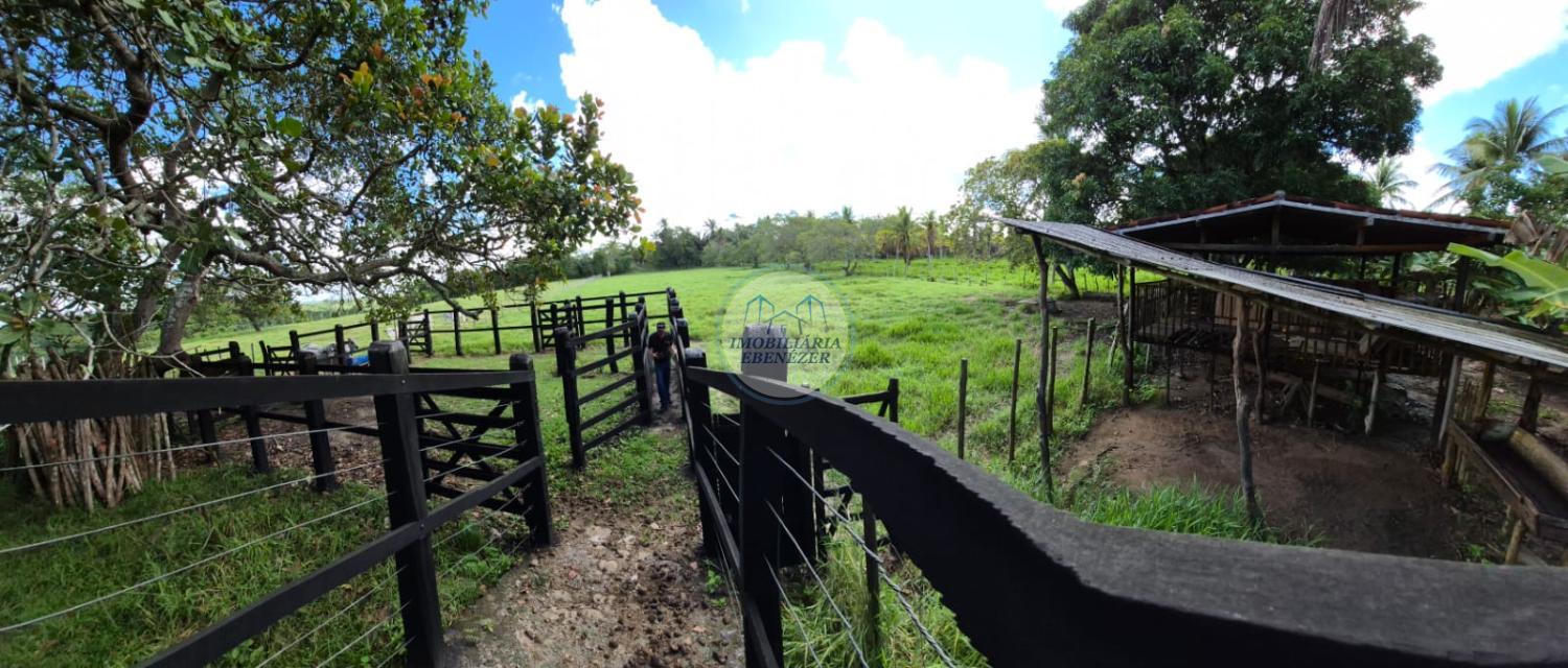 Fazenda, 12 hectares - Foto 21
