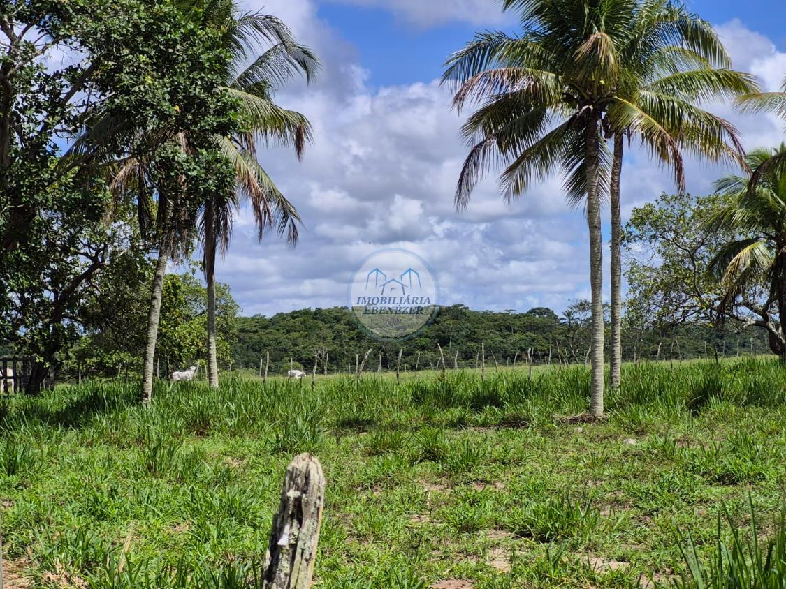 Fazenda, 12 hectares - Foto 20