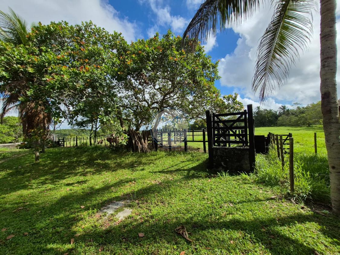 Fazenda, 12 hectares - Foto 26