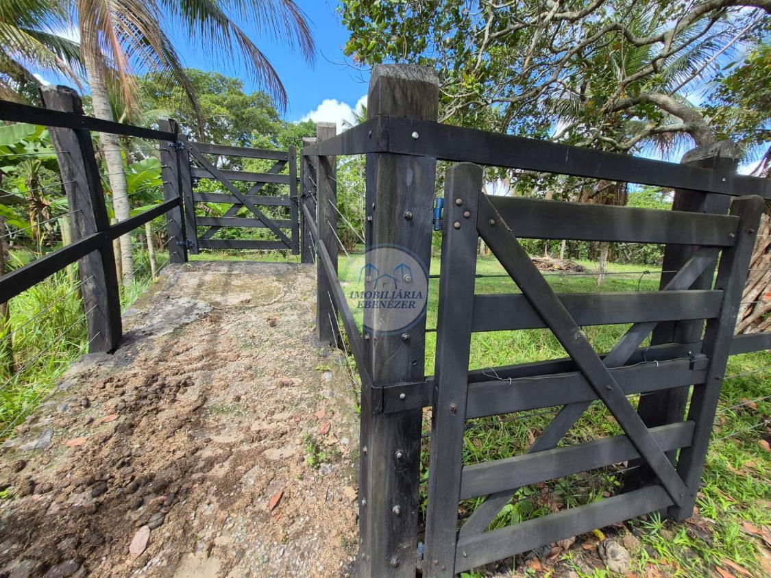 Fazenda, 12 hectares - Foto 22