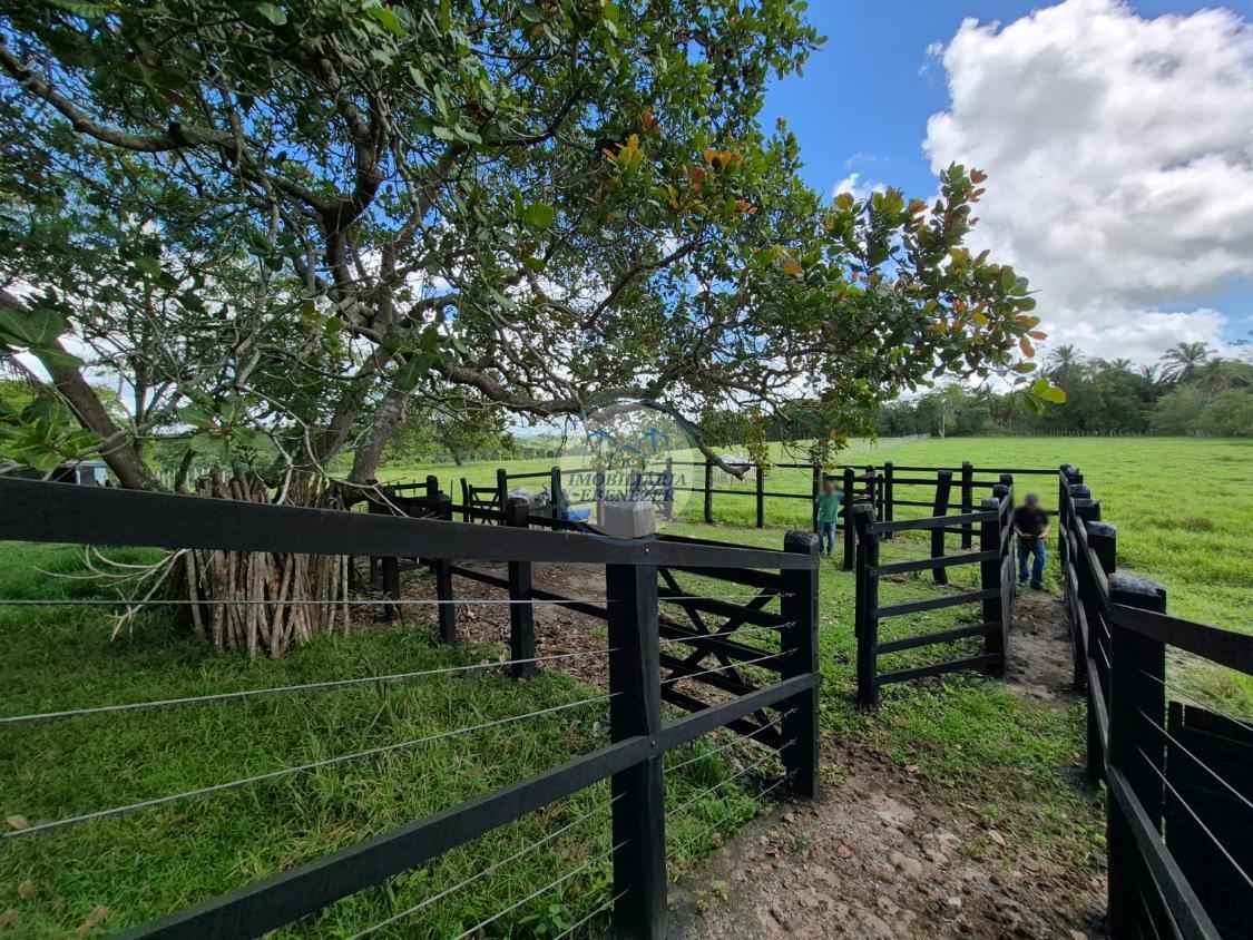 Fazenda, 12 hectares - Foto 24