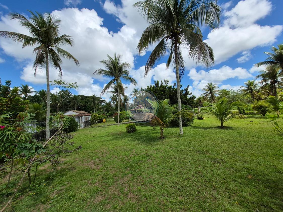Fazenda, 12 hectares - Foto 18