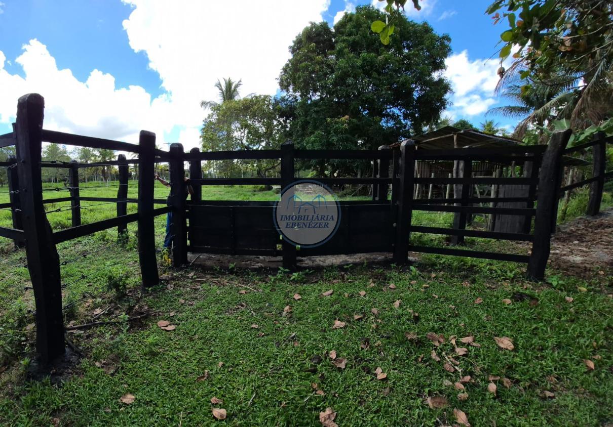 Fazenda, 12 hectares - Foto 28