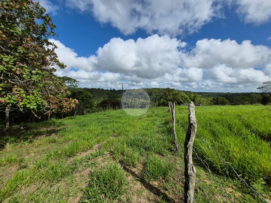 Fazenda, 12 hectares - Foto 29