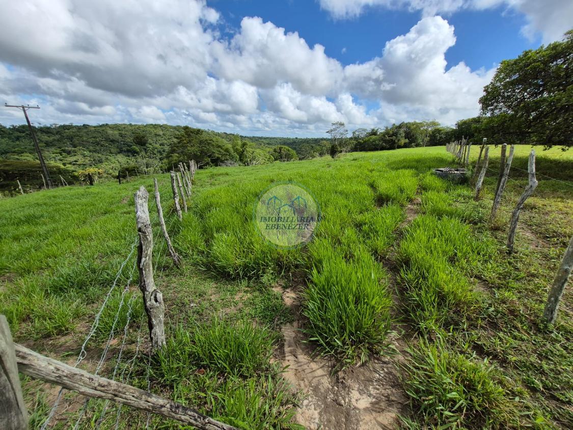 Fazenda, 12 hectares - Foto 30