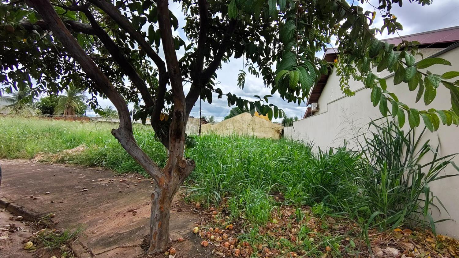 Terreno, 506 m² - Foto 2