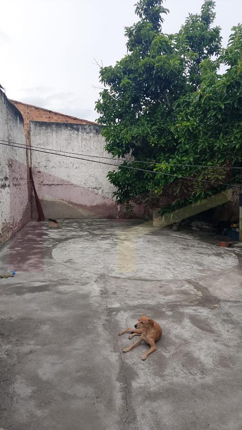 Casa, 3 quartos, 156 m² - Foto 12
