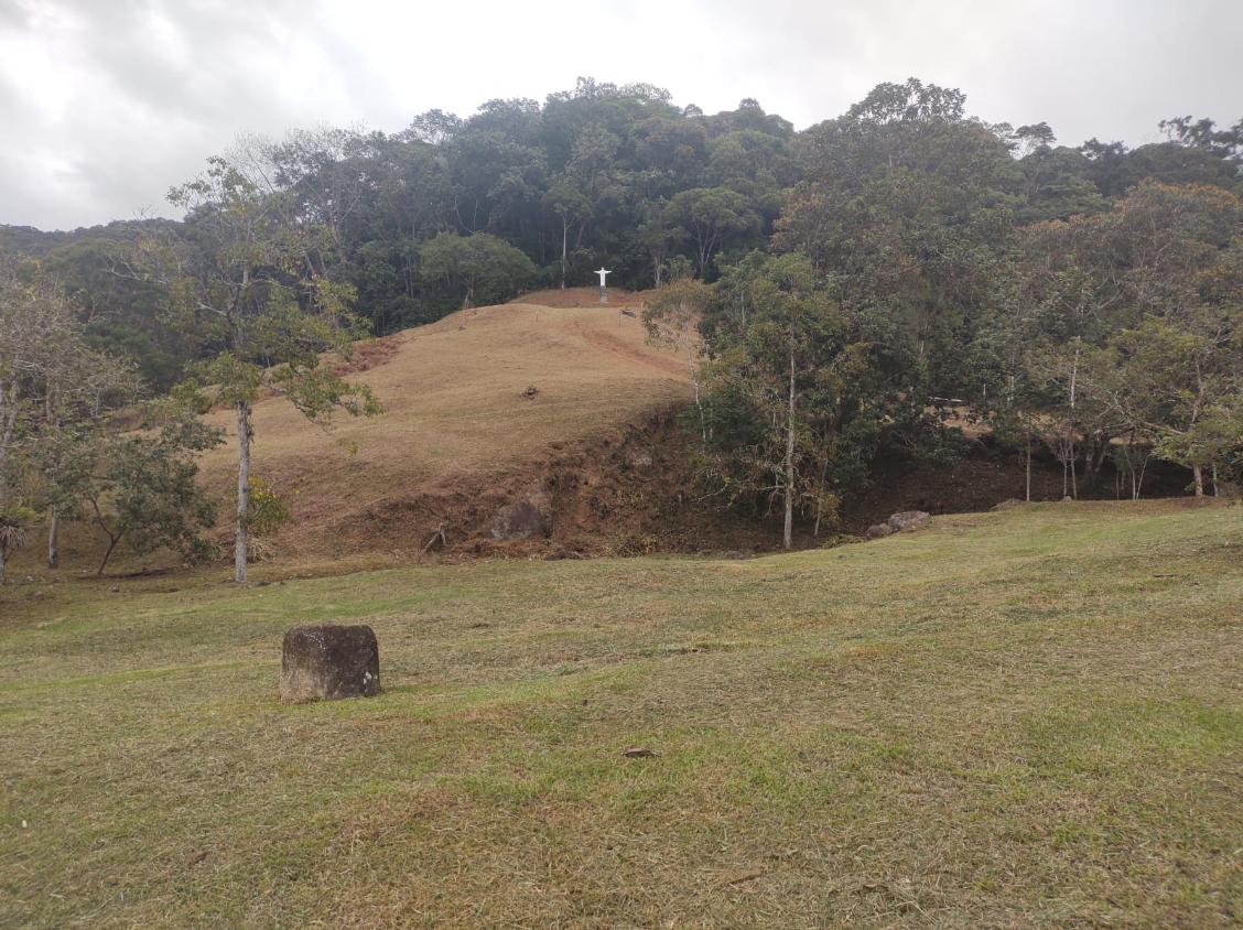 Fazenda, 15 hectares - Foto 4