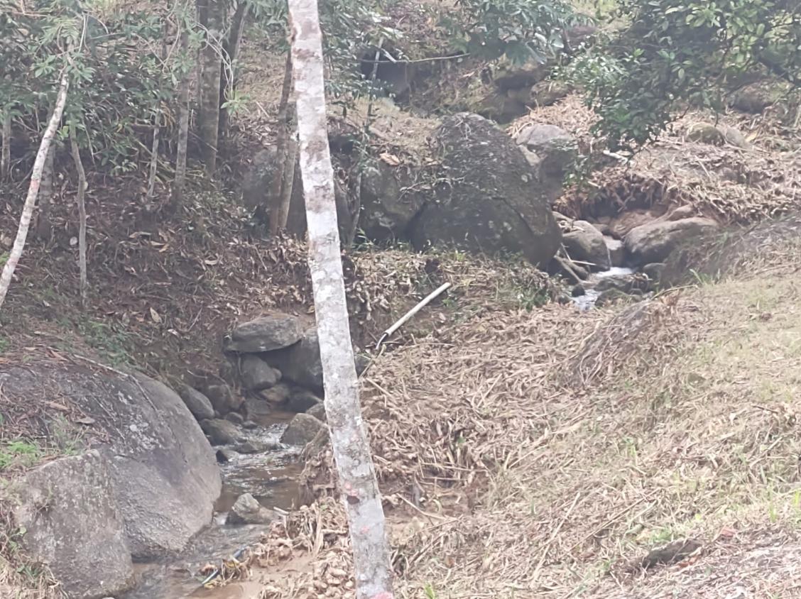 Fazenda, 15 hectares - Foto 16