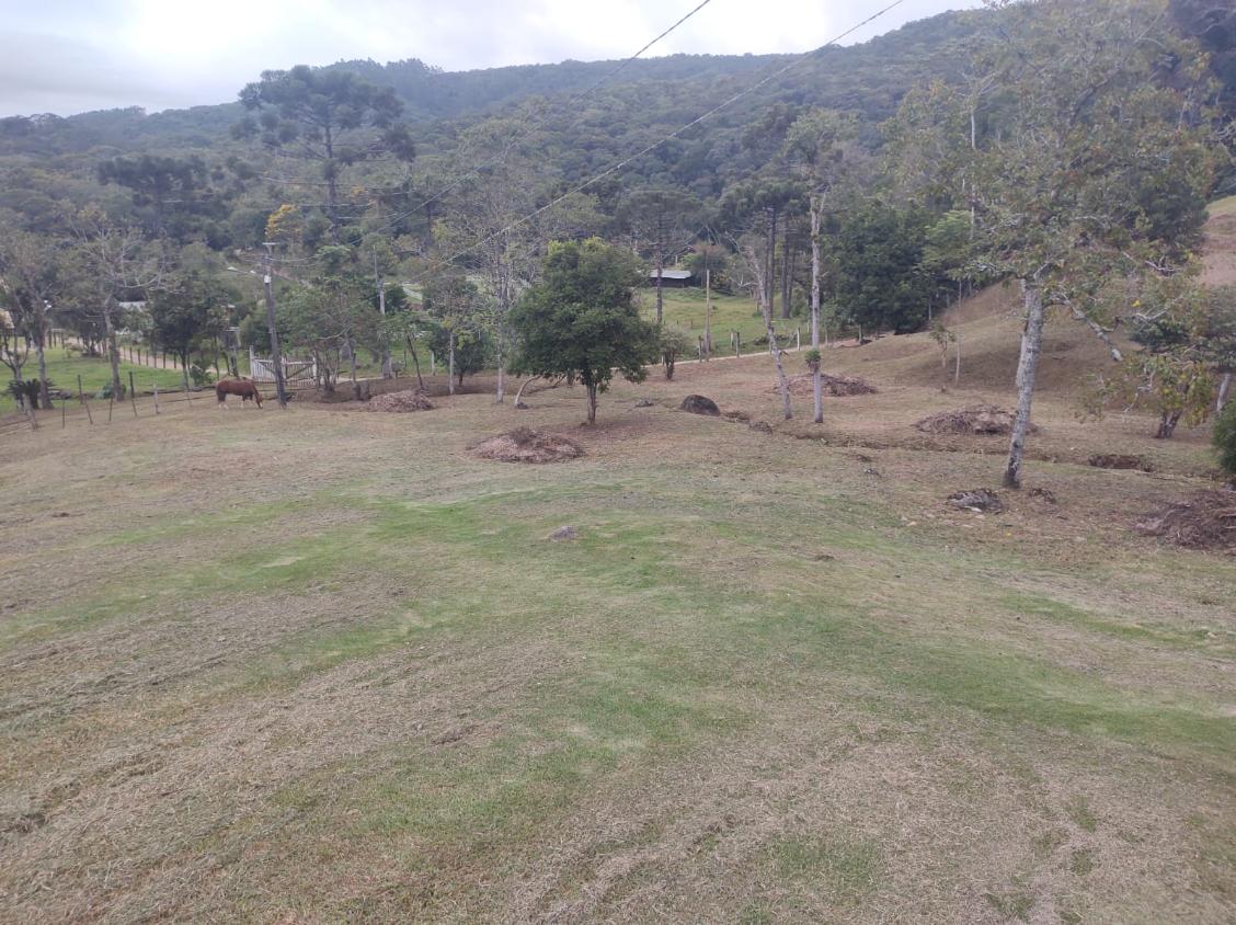 Fazenda, 15 hectares - Foto 14