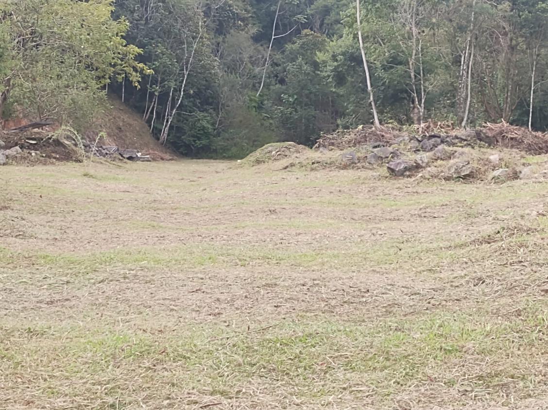 Fazenda, 15 hectares - Foto 15