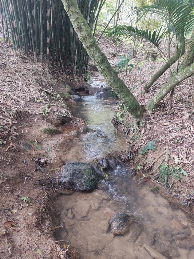 Fazenda, 15 hectares - Foto 20