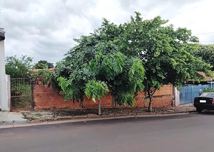 Terreno, 236 m² - Foto 1