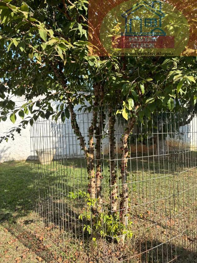 Sítio, 1 quarto, 1000 m² - Foto 10