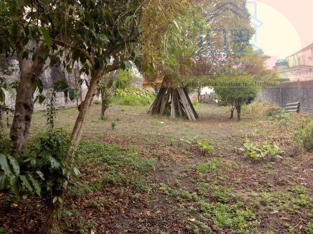 Terreno - Foto 4