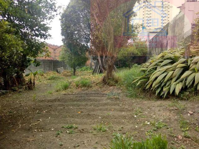 Terreno - Foto 3