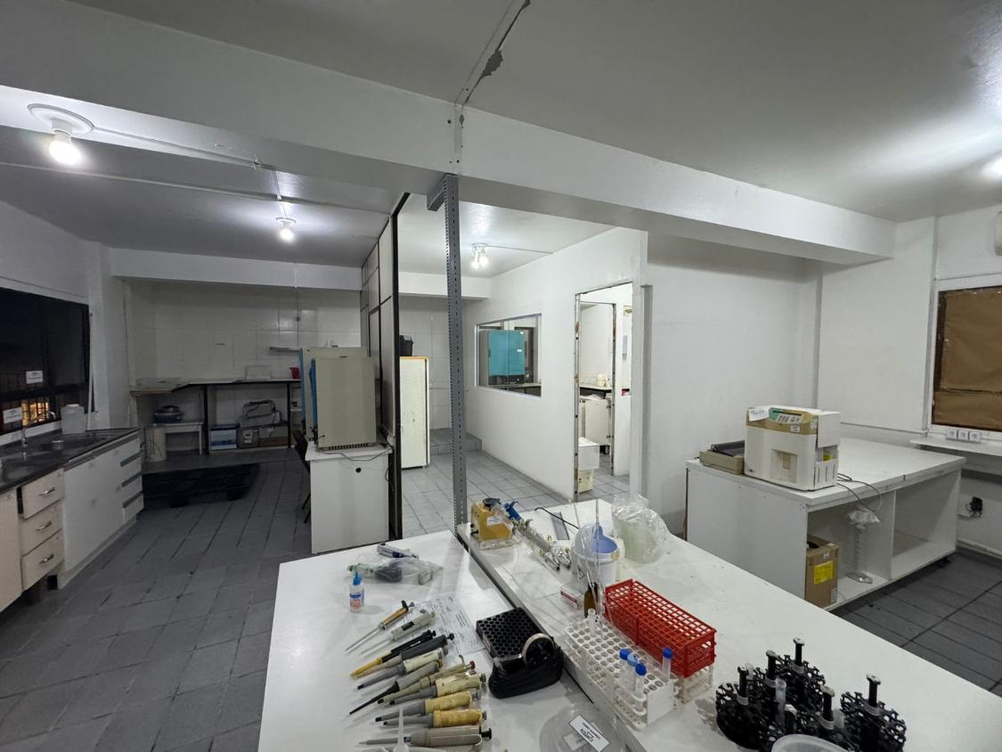 Sala-Conjunto, 220 m² - Foto 5