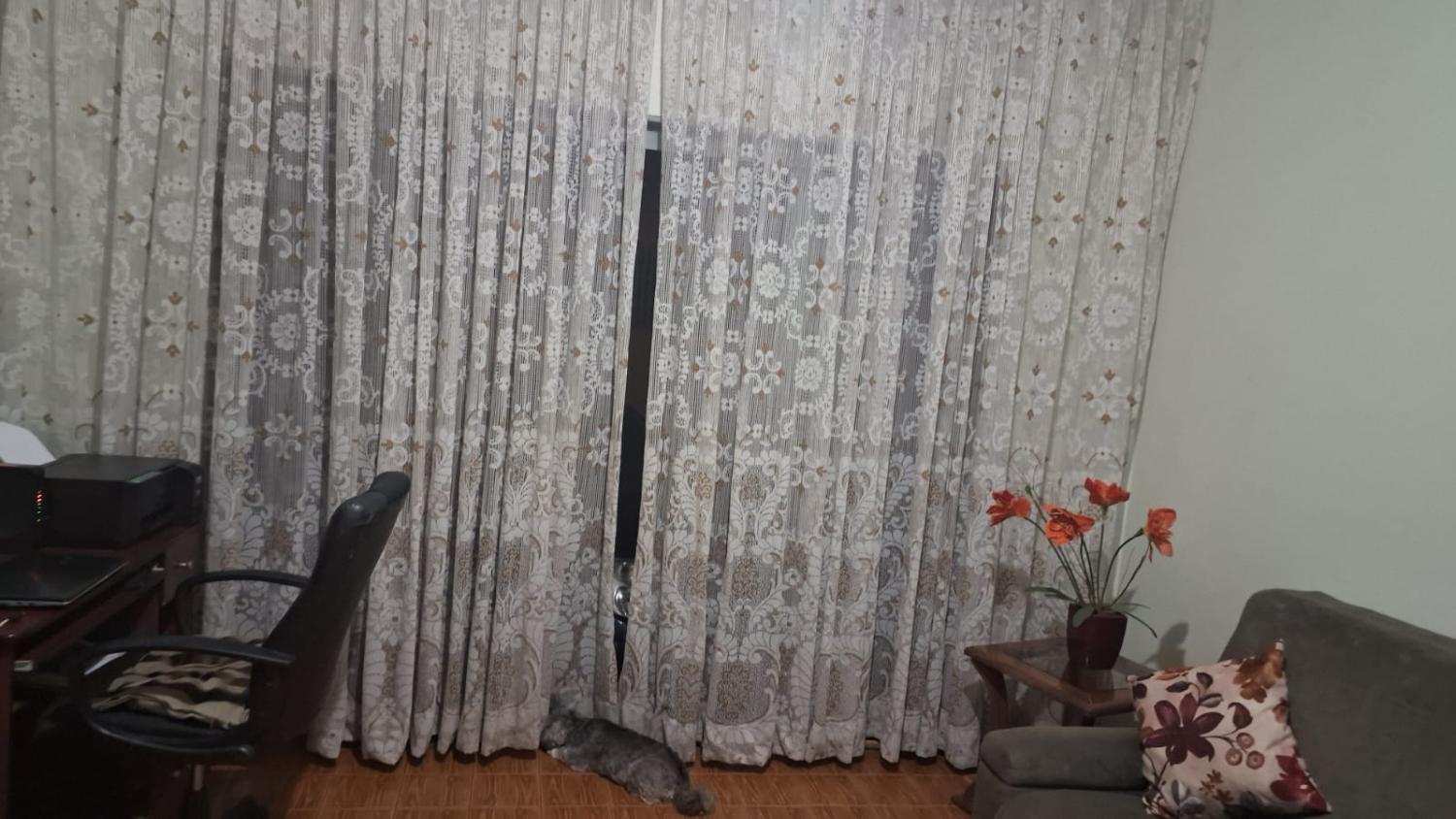 Casa, 3 quartos, 226 m² - Foto 18