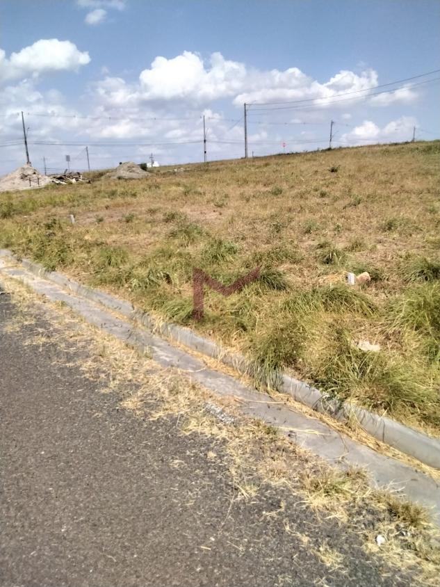Terreno, 160 m² - Foto 15