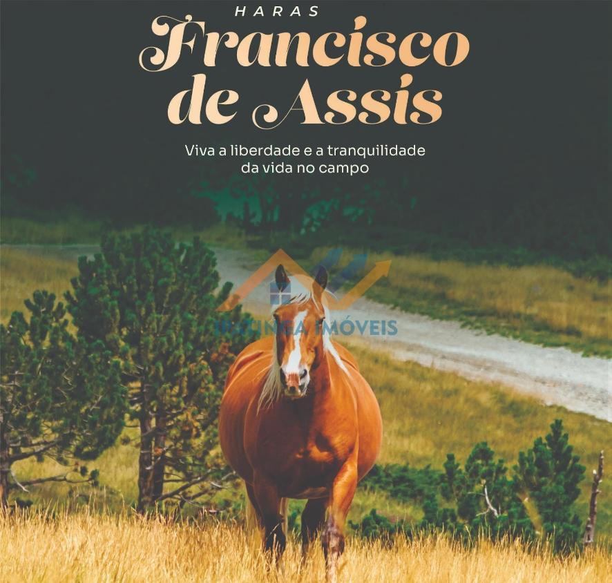Haras em Nova Era, compre sua chácara dentro de um haras