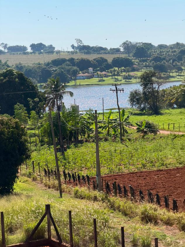 Chácara, 5 quartos, 5 hectares - Foto 18