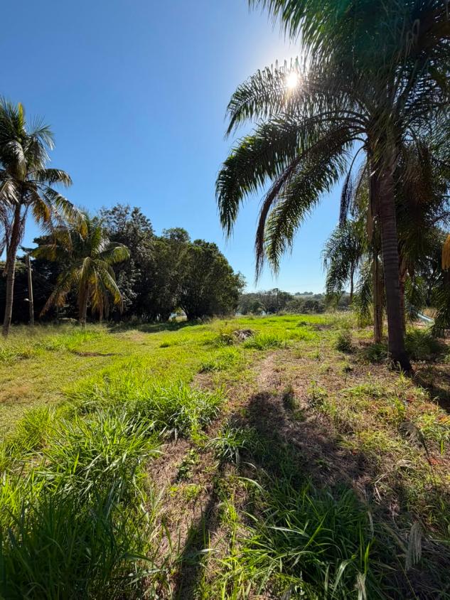 Chácara, 5 quartos, 5 hectares - Foto 24