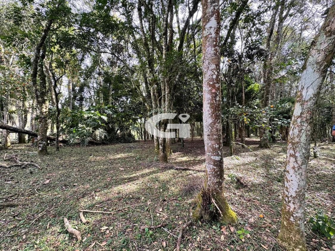 Terreno, 7562 m² - Foto 6