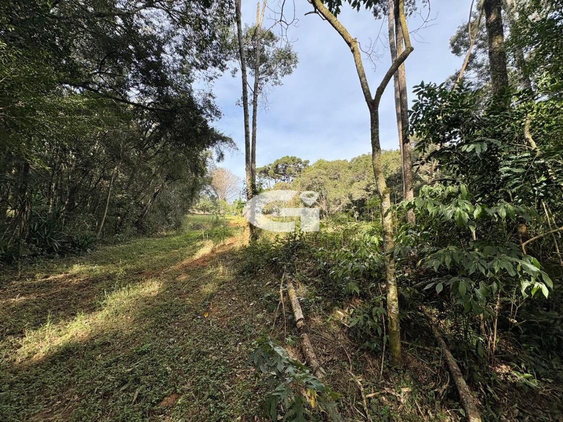 Terreno, 7562 m² - Foto 11