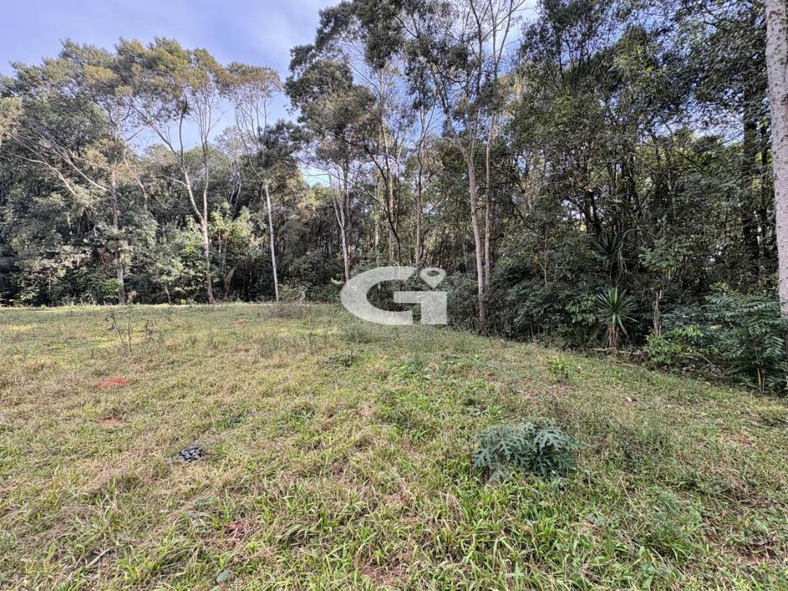 Terreno, 7562 m² - Foto 13