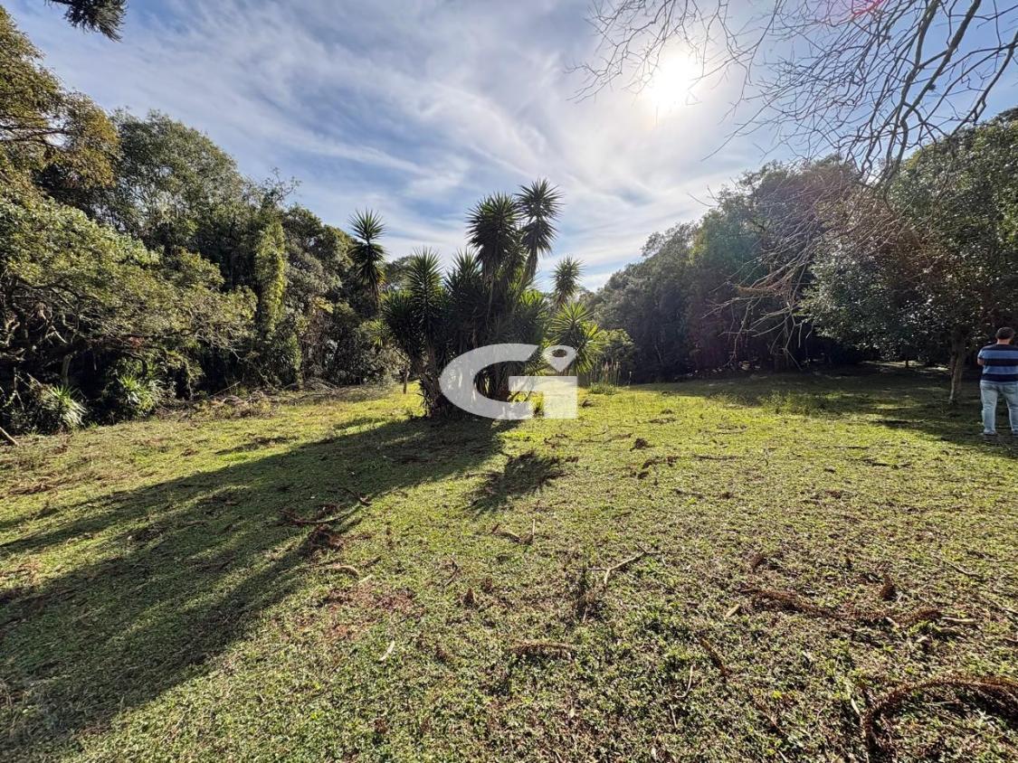 Terreno, 7562 m² - Foto 1